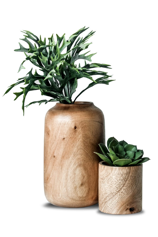 Ensemble de plantes grasses et pots en bois SKU-1010 Ensemble de plantes grasses et pots en bois SKU-1010
